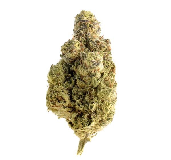 OG Kush