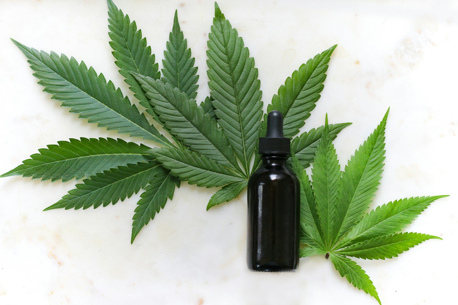 cbd vs thc