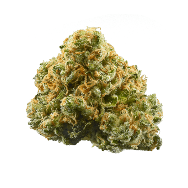 Pineapple Strain