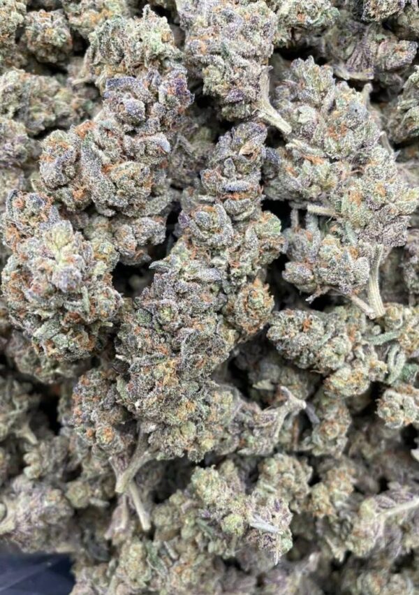 Blackjack Strain for Sale (2024)