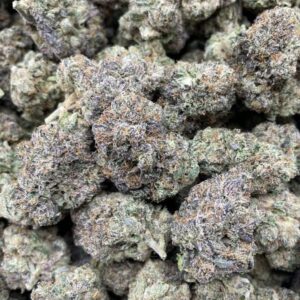 Sharklato Strain for Sale (2024)